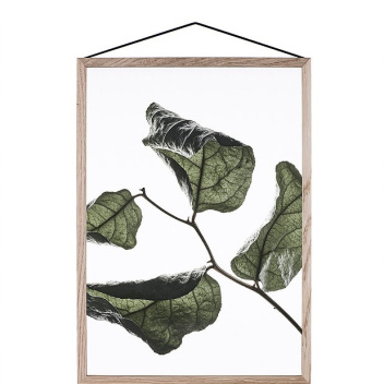 A4 Floating Leaves Transparent Film with Print 03