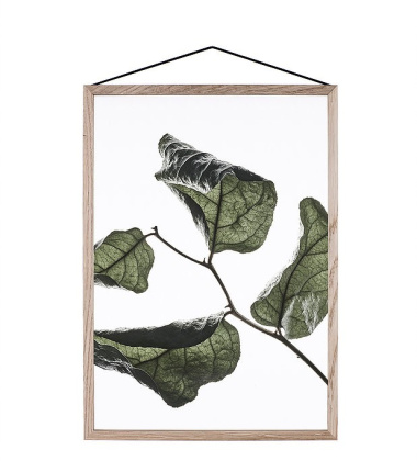 A4 Floating Leaves Transparent Film with Print 03