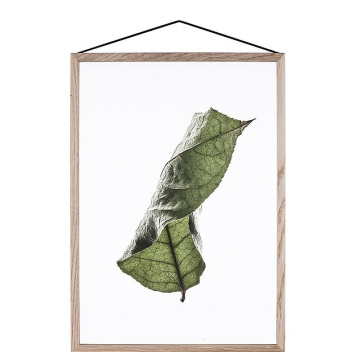 A5 Floating Leaves Transparent Film with Print 04