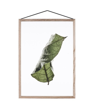 A5 Floating Leaves Transparent Film with Print 04