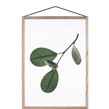 A5 Floating Leaves Transparent Film with Print 05