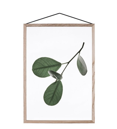 A5 Floating Leaves Transparent Film with Print 05