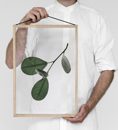 A3 Floating Leaves Transparent Film with Print 05