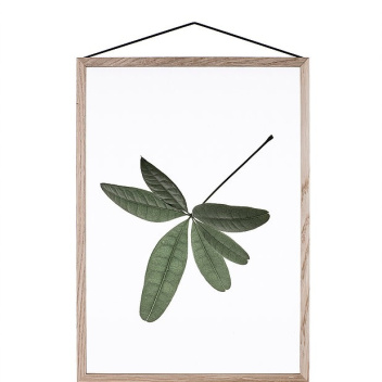 A5 Floating Leaves Transparent Film with Print 06