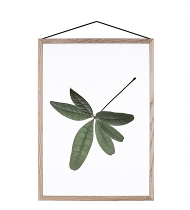 A5 Floating Leaves Transparent Film with Print 06