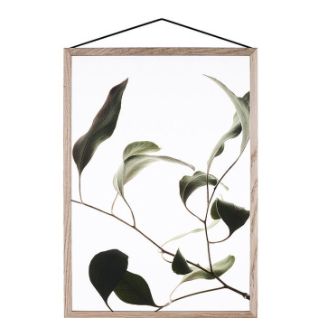 A4 Floating Leaves Transparent Film with Print 09