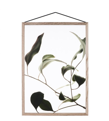 A4 Floating Leaves Transparent Film with Print 09