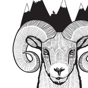 Poster A Ram Art Print 30x40