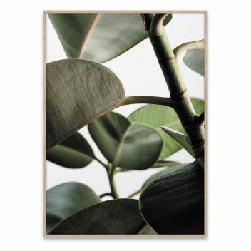 Green Home 03 Poster 30x40 Green