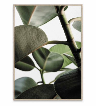 Green Home 03 Poster 30x40 Green