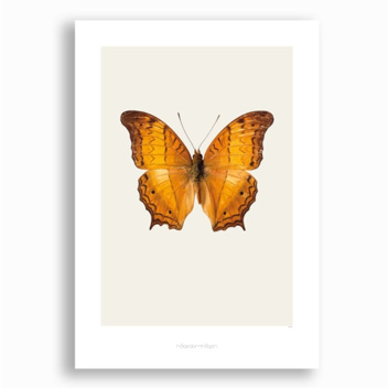 S12 Poster 42x59 Vindula Dejone - Cruiser Butterfly