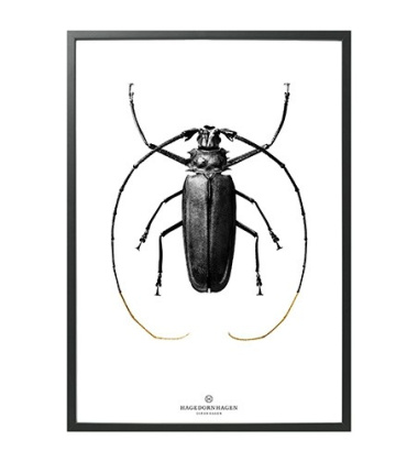 BW2 Poster 70x100 BLACK BUG