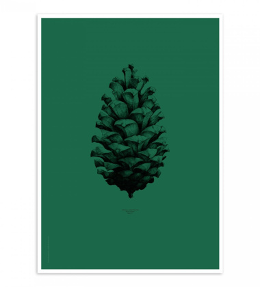 Pine Cone Poster 50x70 Dark Forest Green