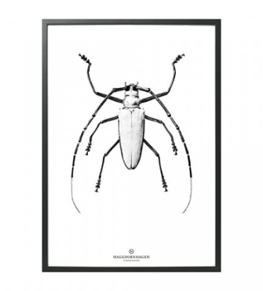 BW1 Poster 70x100 WHITE BUG