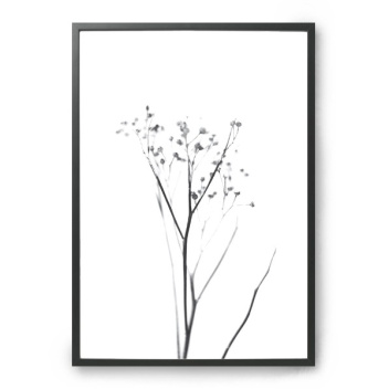 Yarrow Poster 30x40 Biało-Czarny