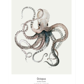 Ocean - Octopus Poster 30x40