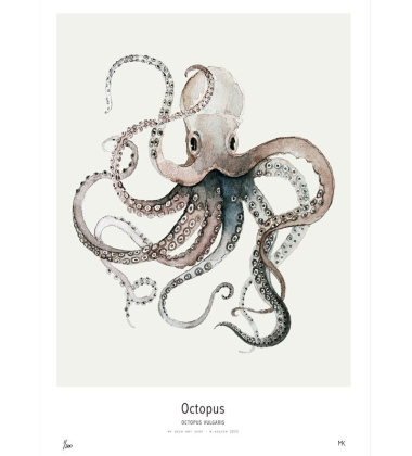 Ocean - Octopus Poster 30x40