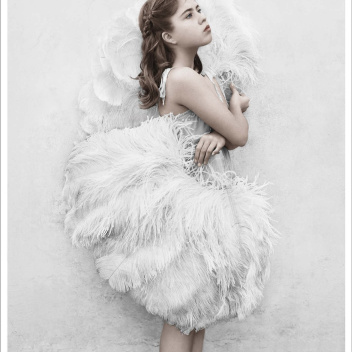 Poster 50x70 THIRTEEN 6 White Feather By Vee Speers