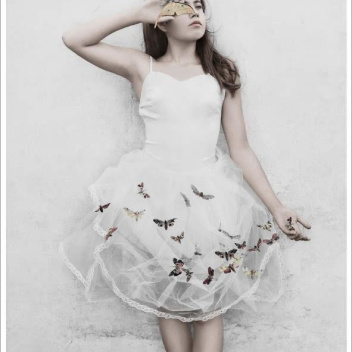 Poster 50x70 THIRTEEN 9 Butterflies By Vee Speers