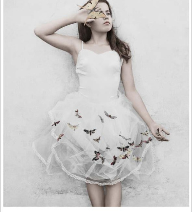 Poster 50x70 THIRTEEN 9 Butterflies By Vee Speers
