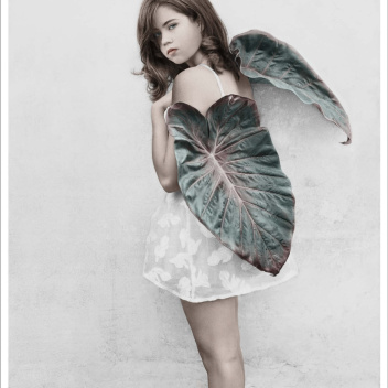 Poster 50x70 THIRTEEN 2 Grand Leaf Wings By Vee Speers