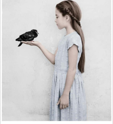Poster 50x70 BIRTHDAY PARTY 22 Bird By Vee Speers