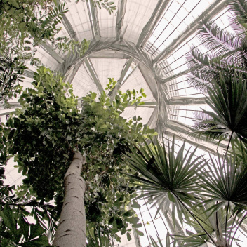 Poster 50x70 PALM HOUSE By ViSSEVASSE