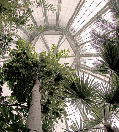 Poster 50x70 PALM HOUSE By ViSSEVASSE