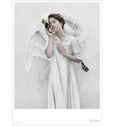 Poster 15x21 THIRTEEN 12 Swan By Vee Speers