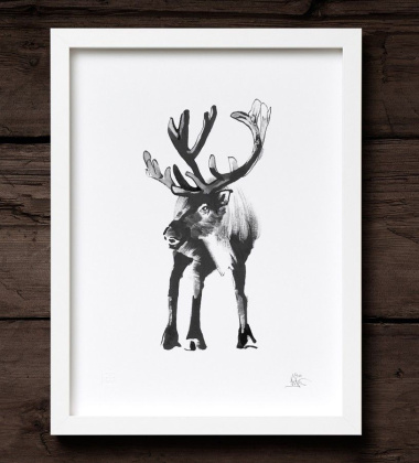 Poster renifer Teemu Jarvi 30x40 RAINDEER