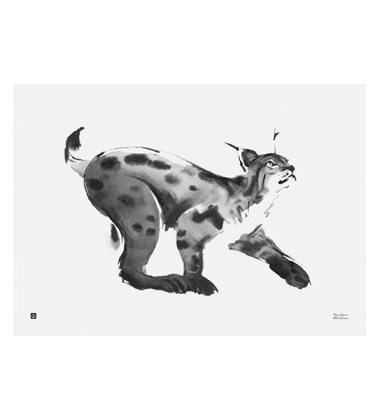 Poster ryś Teemu Jarvi 50x70 LYNX