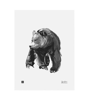 Poster niedźwiedź Teemu Jarvi 30x40 GENTLE BEAR