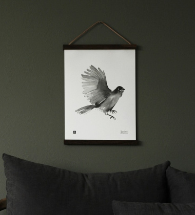 Poster sójka syberyjska Teemu Jarvi 30x40 SIBERIAN JAY