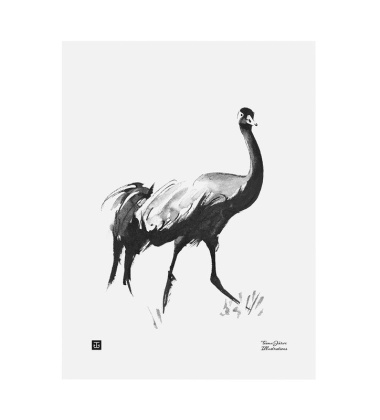 Poster żuraw Teemu Jarvi 30x40 CRANE