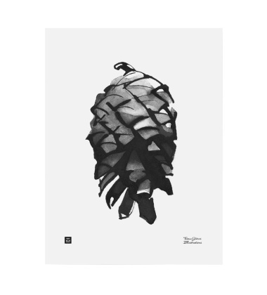 Poster szyszka Teemu Jarvi 30x40 PINE CONE