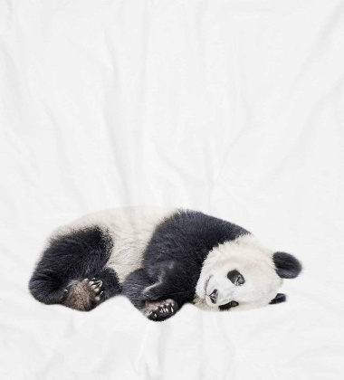 Pościel bawełniana z pandą 140x200 LAZY PANDA