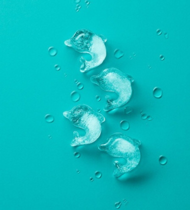 Silikonowy pojemnik do kostek lodu Slim Dolphin Ice Cube Tray Limonkowy