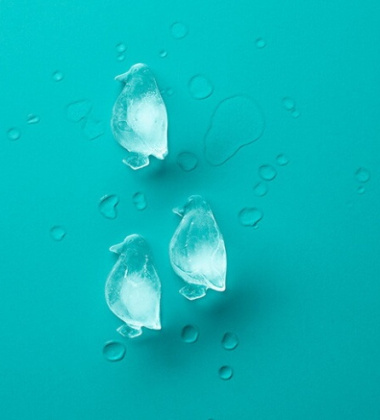 Silikonowy pojemnik do kostek lodu Penguin Ice Cube Tray Turkusowy