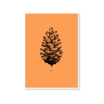 Pine Cone Poster 50x70 Orange