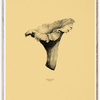 Poster Chanterelle Yellow 50x70 Żółty