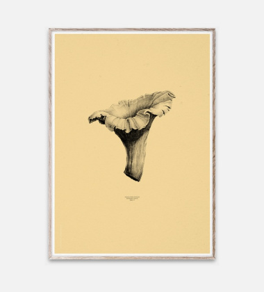 Poster Chanterelle Yellow 50x70 Żółty