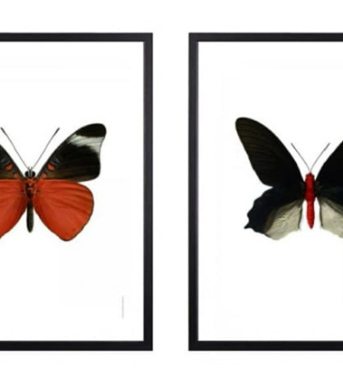 Ramka drewniana z plexiglass 40x50 by Liljebergs Czarna