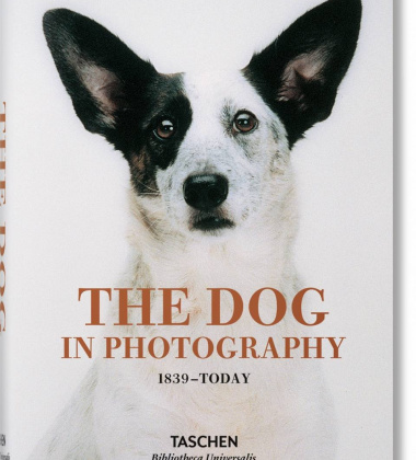 Książka THE DOG IN PHOTOGRAPHY 1839–Today