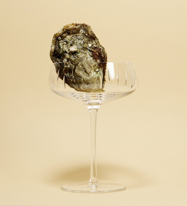 Kieliszek do szampana cięte szkło Crystal Champagne Coupe Clear