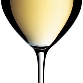 Zestaw 6 kieliszków do białego wina EASY PLUS 390 ml by WMF