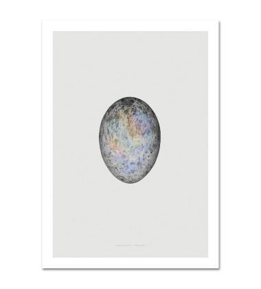 Translucent Egg With Spectrum Skull Poster 50x70