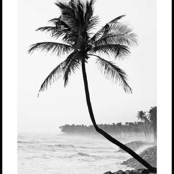 Plakat 50x70 PALM TREE BY THE BEACH