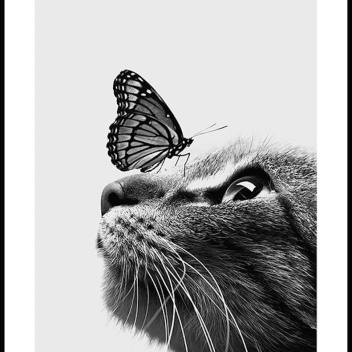 Plakat 50x70 CAT AND BUTTERFLY