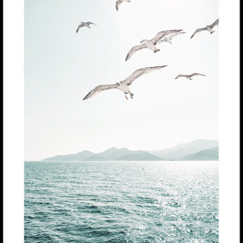 Plakat 50x70 OCEAN SEAGULLS