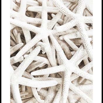 Plakat 50x70 STARFISH